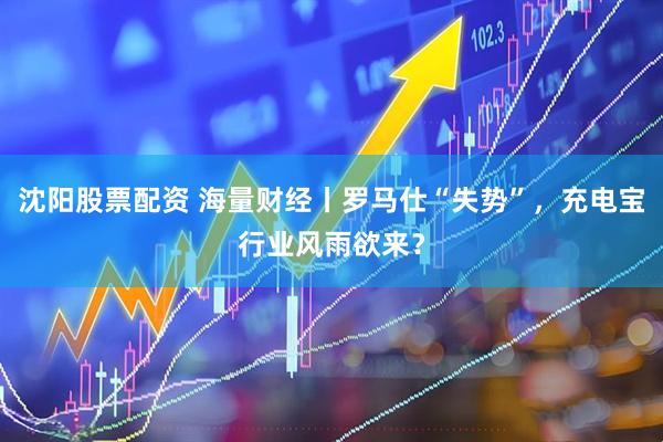 沈阳股票配资 海量财经丨罗马仕“失势”，充电宝行业风雨欲来？