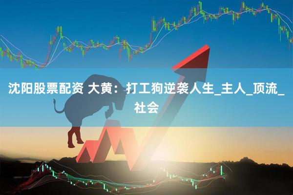 沈阳股票配资 大黄：打工狗逆袭人生_主人_顶流_社会