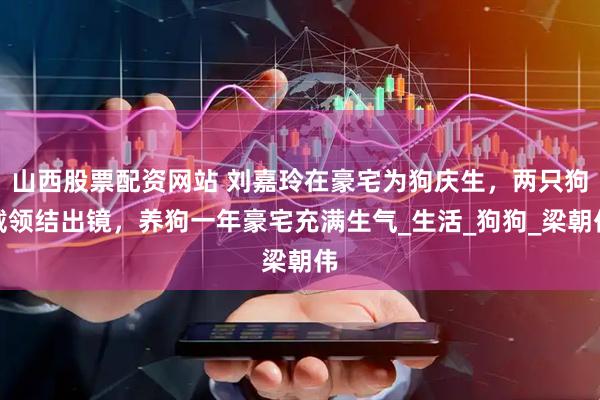 山西股票配资网站 刘嘉玲在豪宅为狗庆生，两只狗戴领结出镜，养狗一年豪宅充满生气_生活_狗狗_梁朝伟