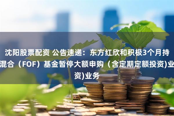 沈阳股票配资 公告速递：东方红欣和积极3个月持有混合（FOF）基金暂停大额申购（含定期定额投资)业务