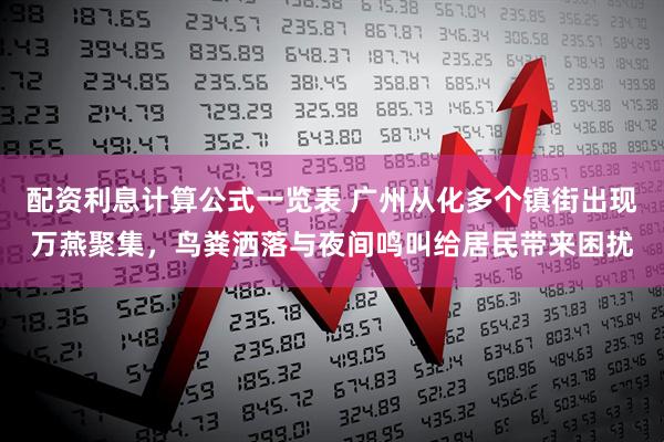 配资利息计算公式一览表 广州从化多个镇街出现万燕聚集，鸟粪洒落与夜间鸣叫给居民带来困扰